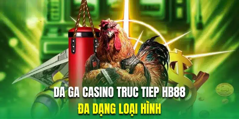 Casino cung cấp đa dạng loại hình chọi kê trực tiếp